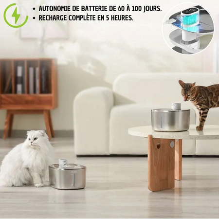 FONTAINE À EAU POUR CHAT - SANS FIL - 4L | Apetdola™