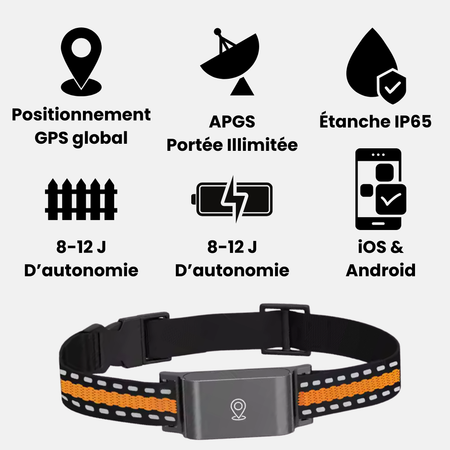 Collier GPS Sans Abonnement Marnoval™ – Portée Illimitée, Suivi Précis