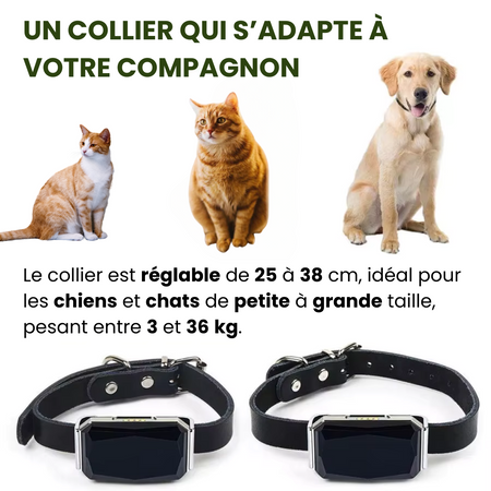 Collier GPS Sans Abonnement, Portée Illimitée | Marnoval™