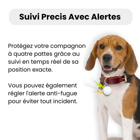 Localisateur GPS Pratique pour Chien et Chiot - Marnoval