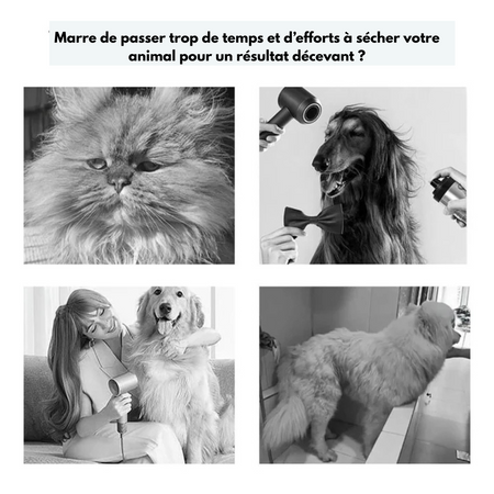 GroomAir™ – Brosse Vapeur 3-en-1 pour Chiens & Chats