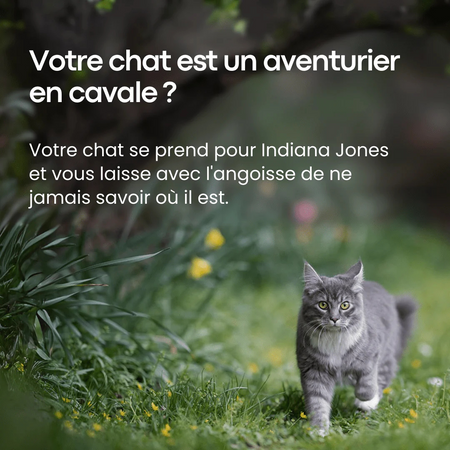 Marnoval - Traceur GPS pour Animaux de Compagnie