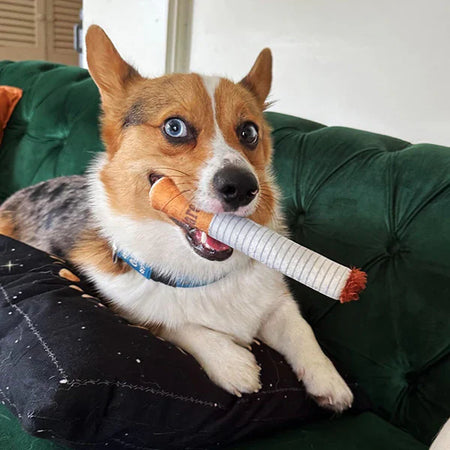 Giggle Puff Stick™ – Jouets Fun Sans Rembourrage pour Chiens Curieux