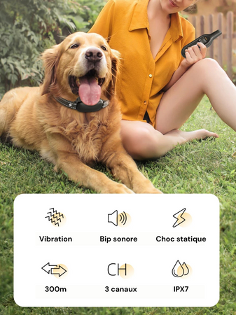 SmartTrain™ – Collier de Dressage Électrique Intelligent pour Chiens
