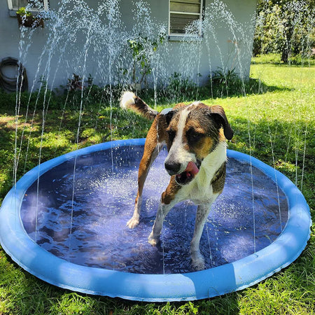 SplashPet™ – Tapis Arroseur Estival pour Chiens et Enfants