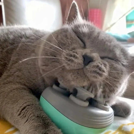 Masseur électrique pour chat et chien Marnoval™